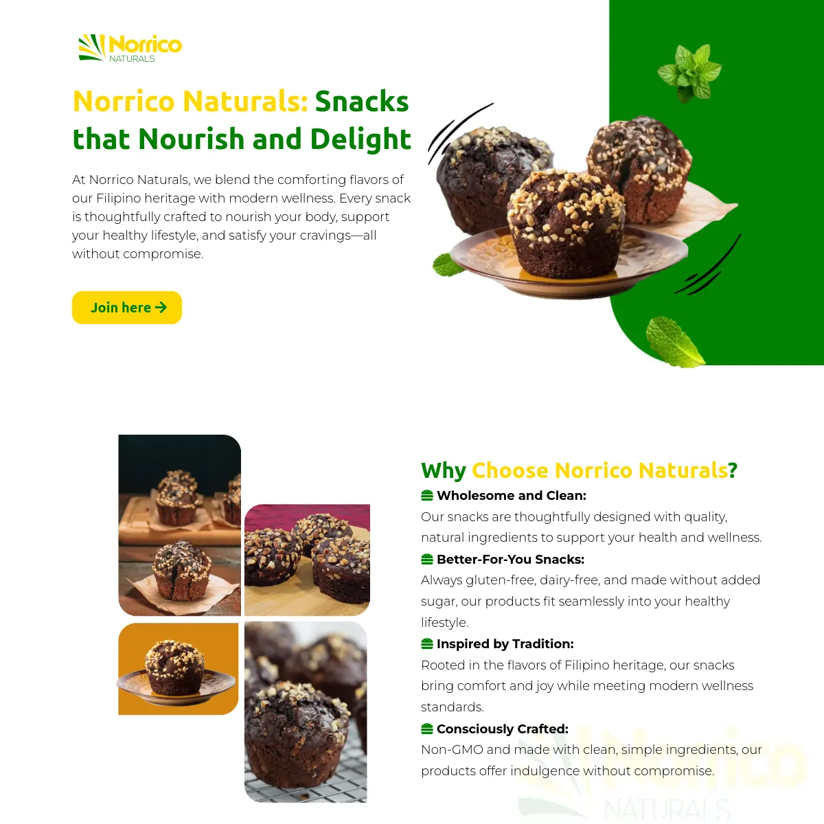 Norrico Naturals website built by VIPBizExpert